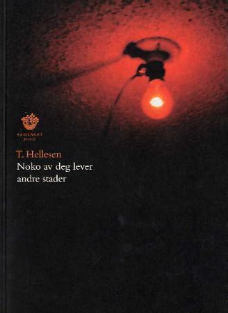 Noko av deg lever andre stader - dikt