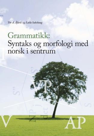 Grammatikk - syntaks og morfologi med norsk i sentrum