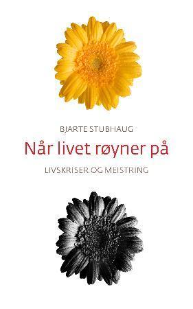 Når livet røyner på - livskriser og meistring