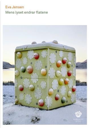 Mens lyset endrar flatene - dikt