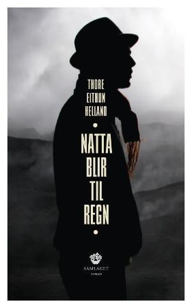 Natta blir til regn - roman