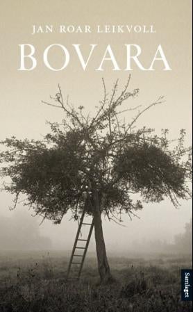 Bovara - roman