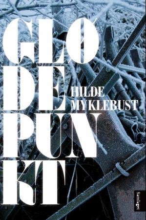Glødepunkt - roman