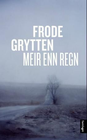 Meir enn regn - noveller