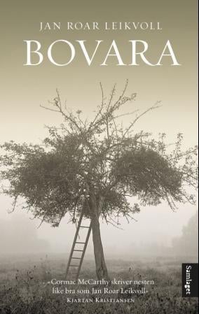 Bovara - roman