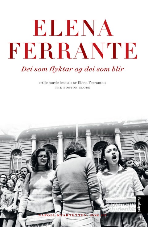 Dei som flyktar og dei som blir - mellomår : roman