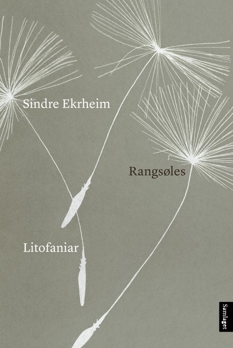 Rangsøles - litofaniar
