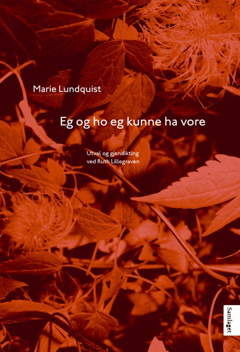 Eg og ho eg kunne ha vore