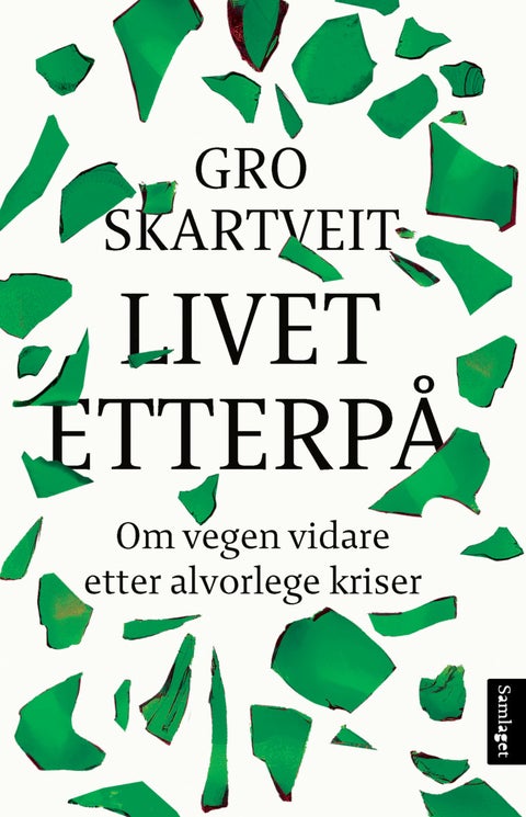 Livet etterpå - om vegen vidare etter alvorlege kriser