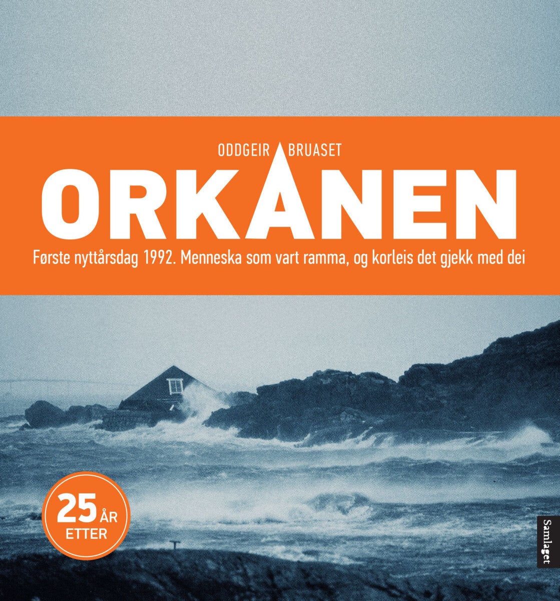 Orkanen - første nyttårsdag 1992 : menneska som vart ramma, og korleis det gjekk med dei : 25 år etter