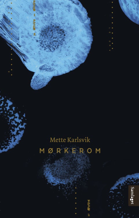 Mørkerom - roman