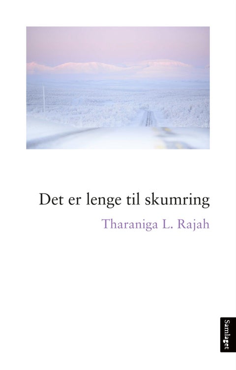 Det er lenge til skumring - roman