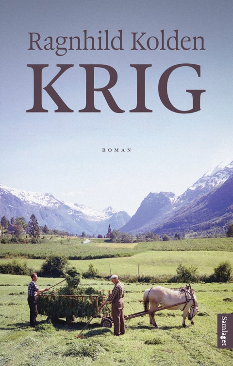 Krig - roman
