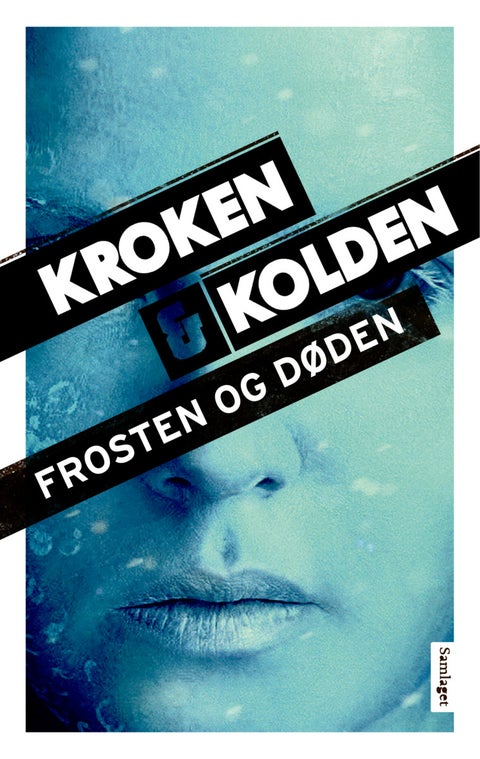 Frosten og døden - kriminalroman