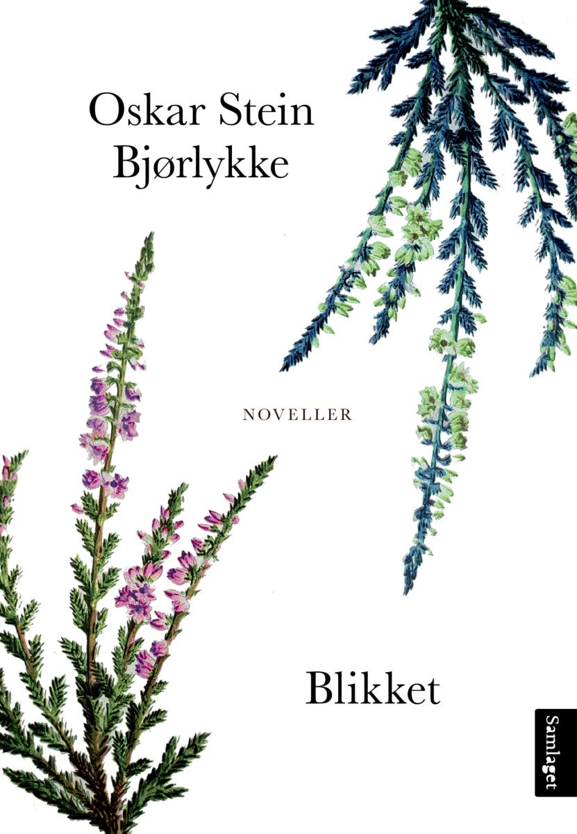 Blikket - noveller