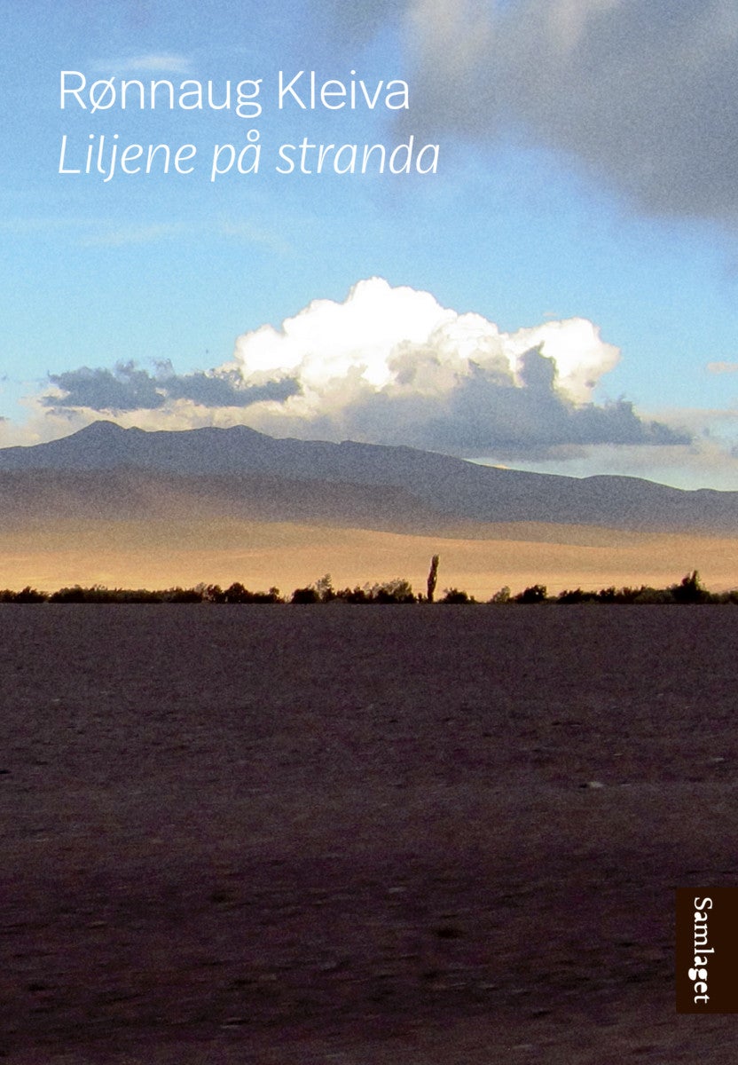 Liljene på stranda - roman