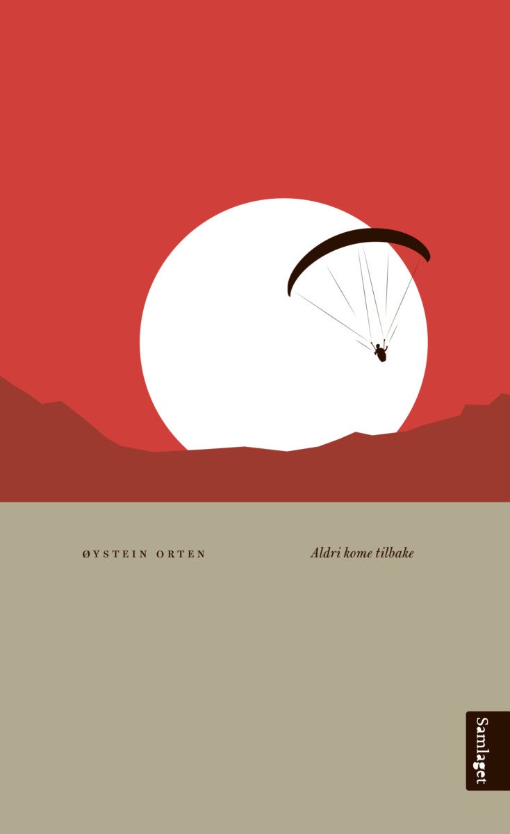 Aldri kome tilbake - roman