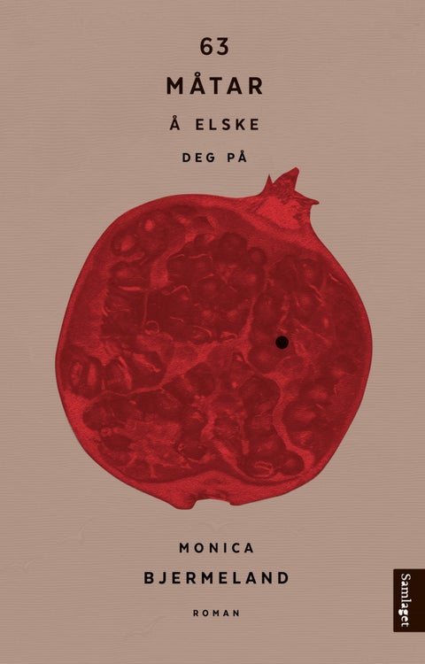 63 måtar å elske deg på - roman