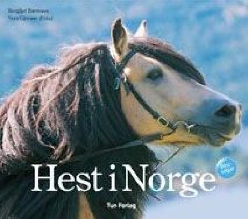 Bilde av Hest I Norge Av Bergljot Børresen