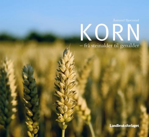 Korn - frå steinalder til genalder