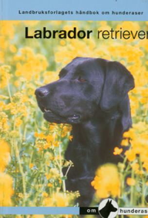 Labrador retriever - en håndbok for kjøp, stell, fôring, oppdragelse, trening, sysselsetting, helse, oppdrett, konkurrans