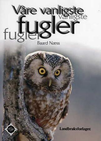 book cover thumbnail