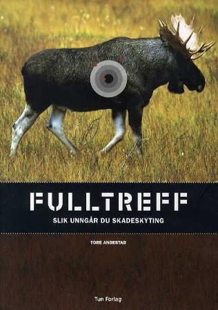 Fulltreff - slik unngår du skadeskyting