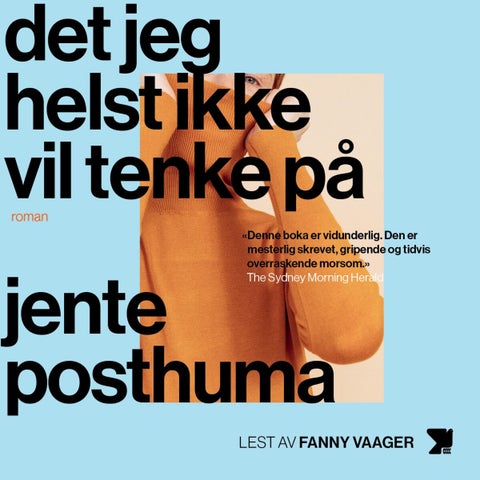 Det jeg helst ikke vil tenke på - roman