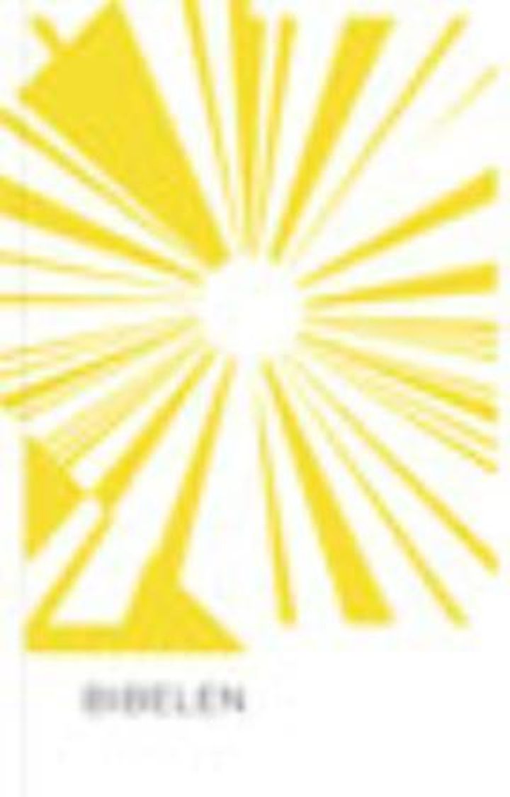 Bibelen - Den hellige skrift : Det gamle og Det nye testamentet