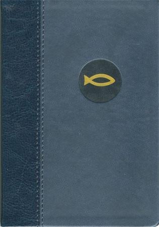 Det nye testamentet - Salmane, Salomos ordtøke