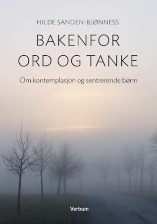Bakenfor ord og tanke - om kontemplasjon og sentrerende bønn