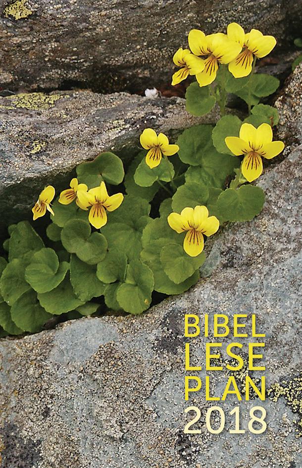 book cover thumbnail