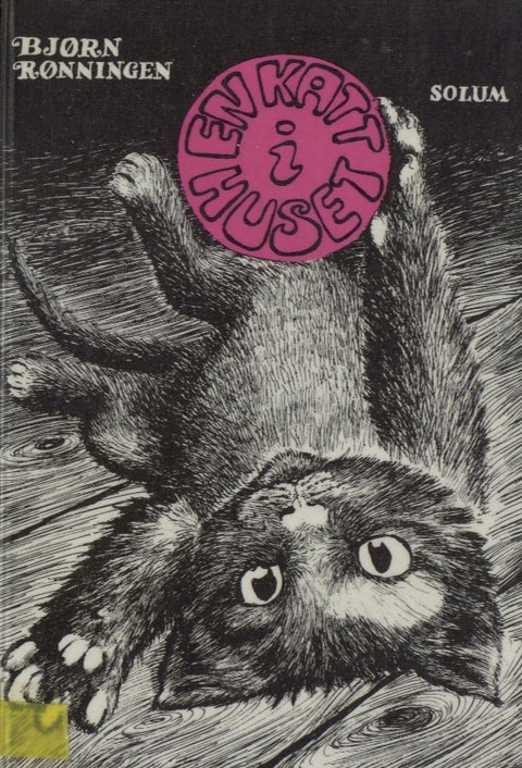 En katt i huset - hørespill