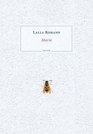 Maria - roman