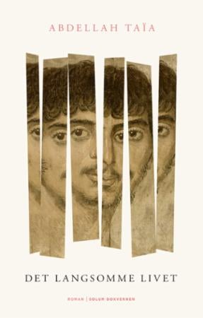 Det langsomme livet - roman