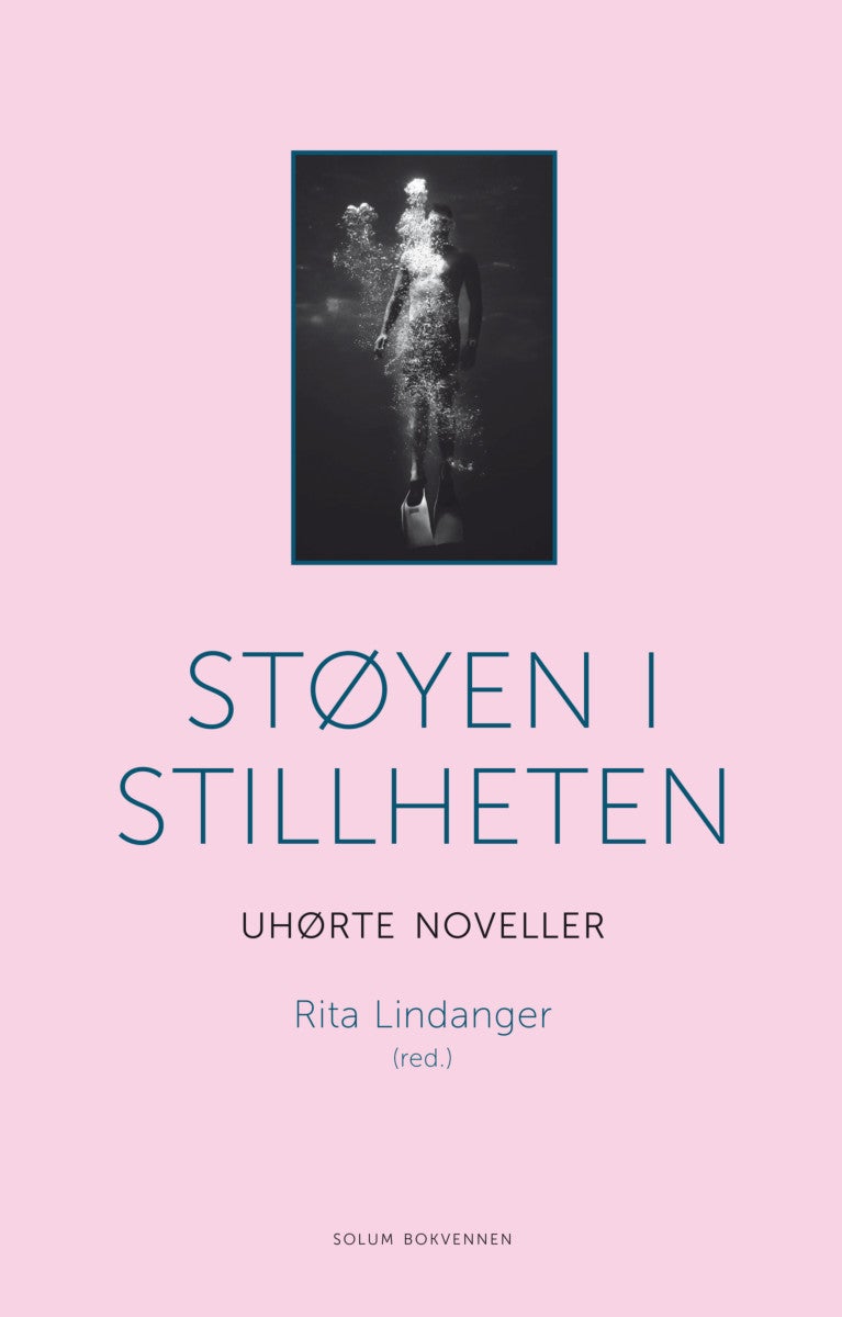Støyen i stillheten - uhørte noveller