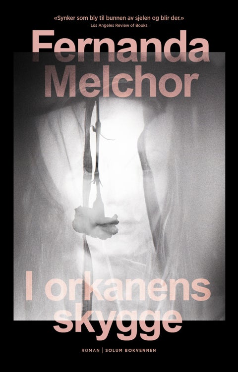 I orkanens skygge - roman