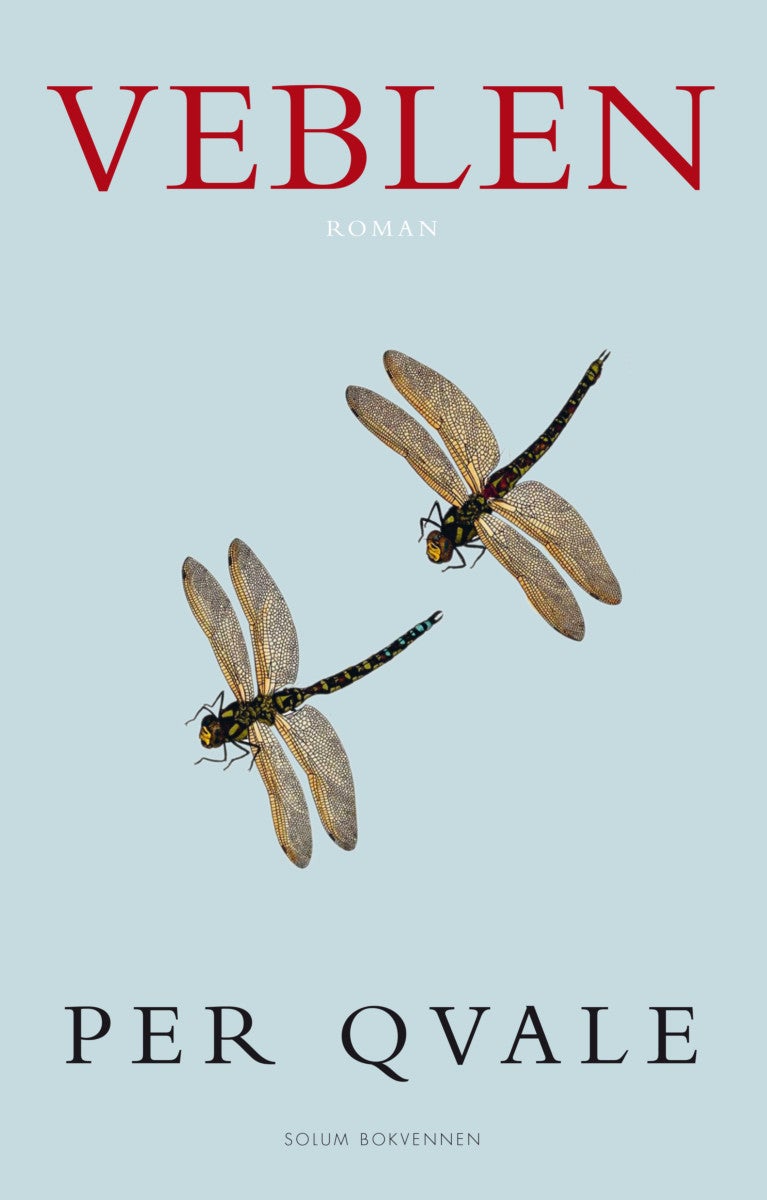 Veblen - om det ugjenkallelige : roman