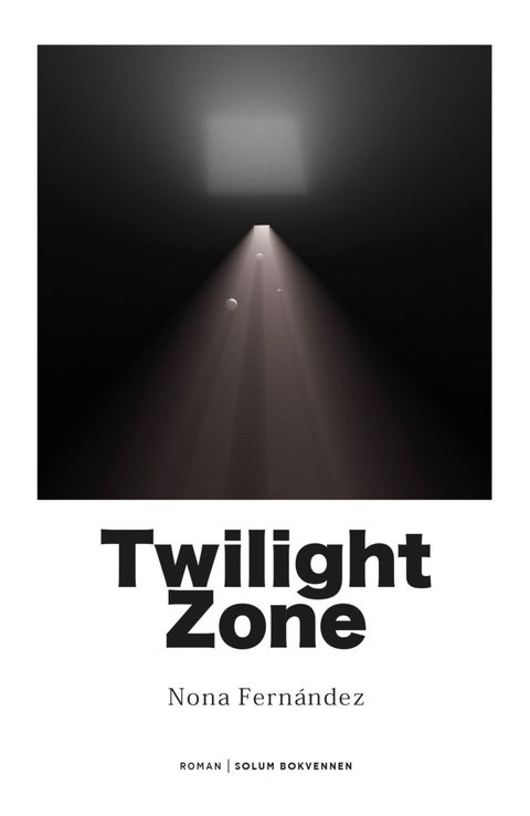 Twilight zone - roman