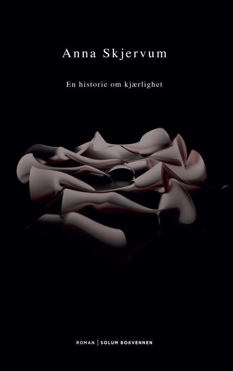 En historie om kjærlighet - roman