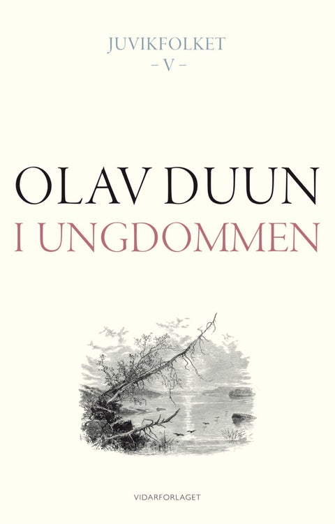 I ungdommen - roman