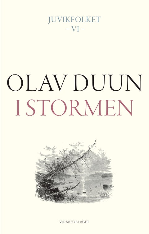 I stormen - roman