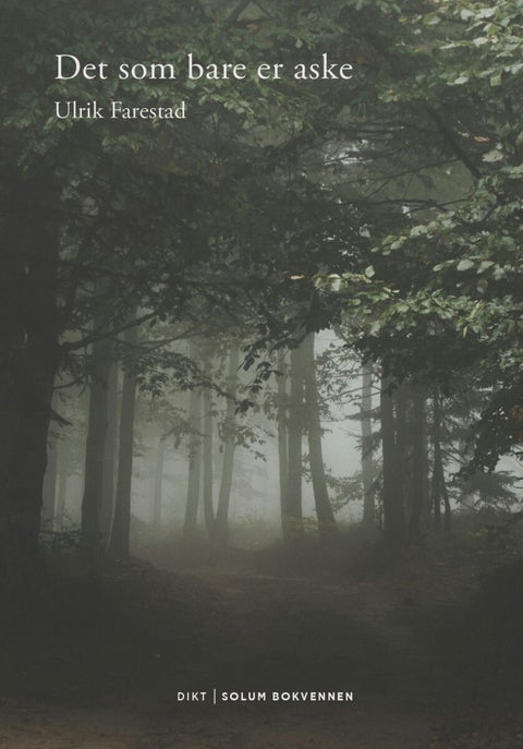 Det som bare er aske - dikt