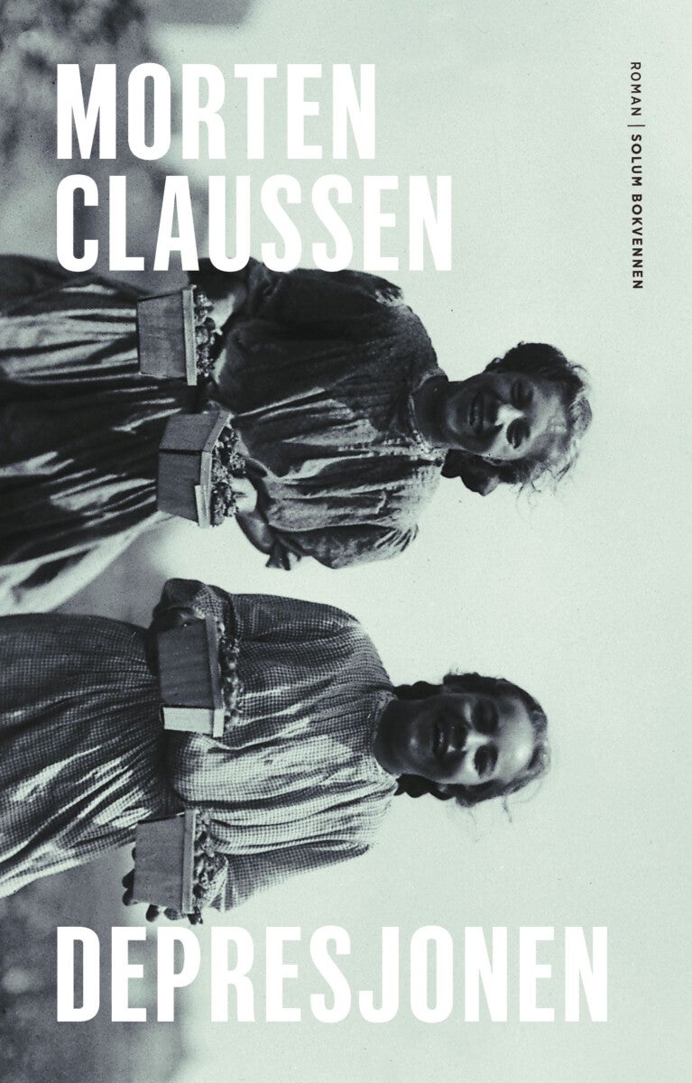 Depresjonen - roman