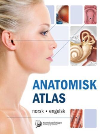Anatomisk atlas - norsk, engelsk