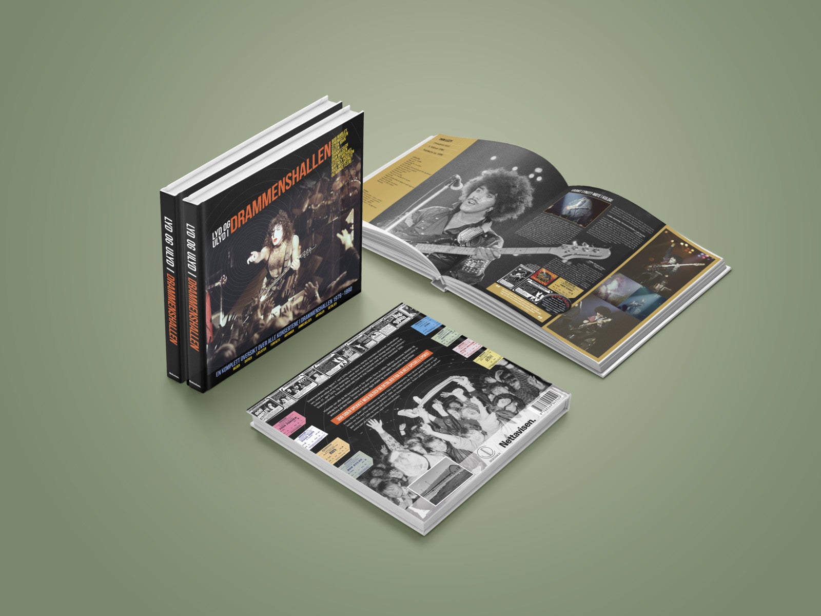 Lyd og ulyd i Drammenshallen - en komplett oversikt over alle konsertene i drammenshallen 1979-1990