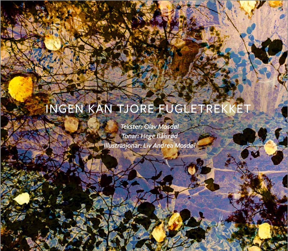 Ingen kan tjore fugletrekket