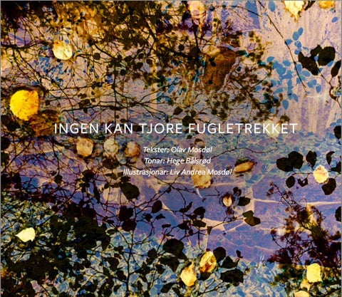 Ingen kan tjore fugletrekket