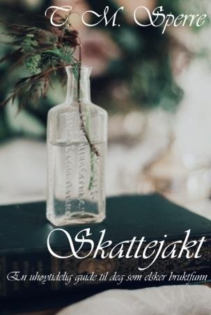 Skattejakt - en uhøytidelig guide for deg som elsker bruktfunn