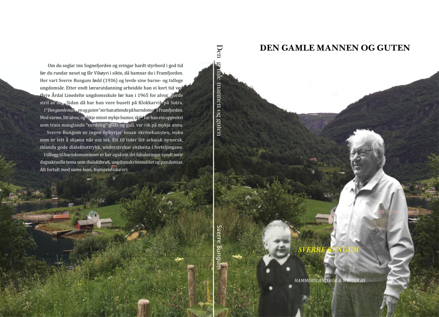 Den gamle mannen og guten